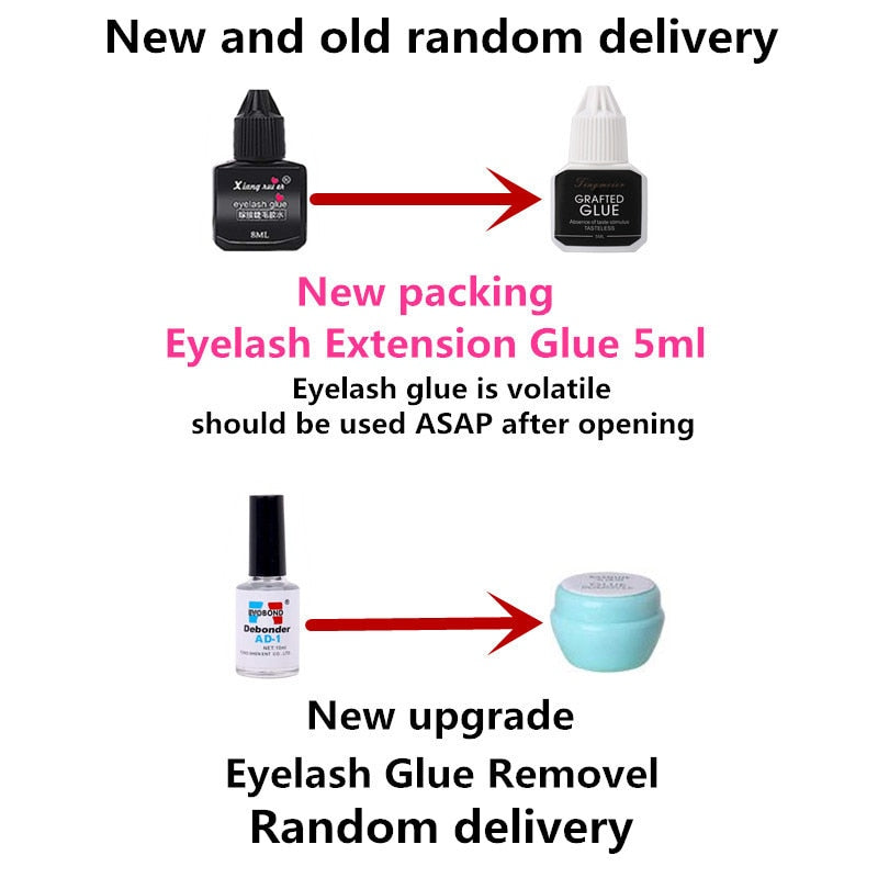 22-in-1 Eyelash Extension Training Kit | Full Beginner Lash & Practice Set